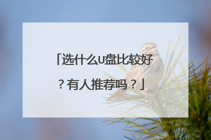 选什么U盘比较好?有人推荐吗?