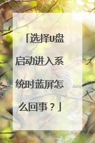 选择U盘启动进入系统时蓝屏怎么回事?