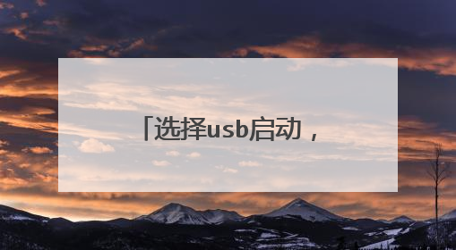 选择usb启动,但是没反应怎么办