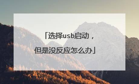选择usb启动,但是没反应怎么办