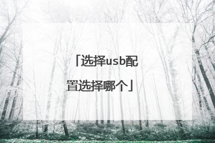 选择usb配置选择哪个