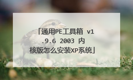 通用PE工具箱 v1.9.6 2003 内核版怎么安装XP系统