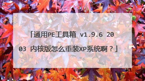 通用PE工具箱 v1.9.6 2003 内核版怎么重装XP系统啊?