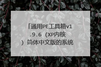 通用PE工具箱v1.9.6 (XP内核) 简体中文版的系统文件要放在哪个文件