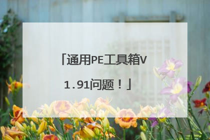 通用PE工具箱V1.91问题!