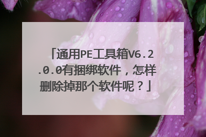 通用PE工具箱V6.2.0.0有捆绑软件，怎样删除掉那个软件呢？