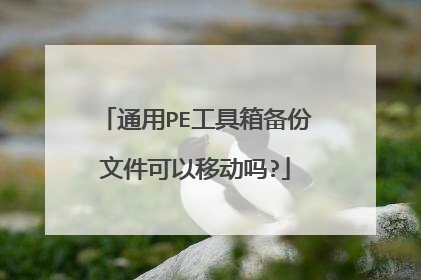 通用PE工具箱备份文件可以移动吗?