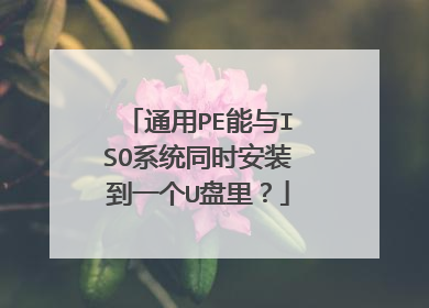 通用PE能与ISO系统同时安装到一个U盘里?