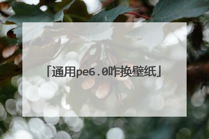 通用pe6.0咋换壁纸