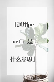 通用pe uefi 是什么意思