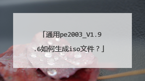 通用pe2003_V1.9.6如何生成iso文件?