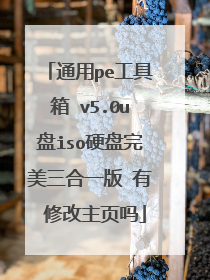 通用pe工具箱 v5.0u盘iso硬盘完美三合一版 有 修改主页吗