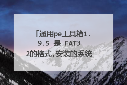 通用pe工具箱1.9.5 是 FAT32的格式,安装的系统出来是什么格式的
