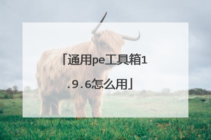 通用pe工具箱1.9.6怎么用