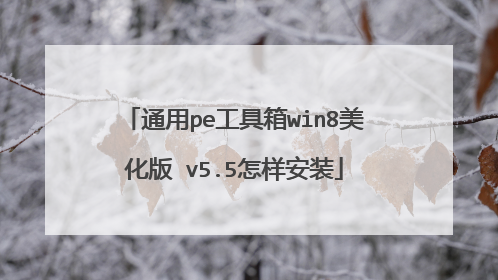 通用pe工具箱win8美化版 v5.5怎样安装