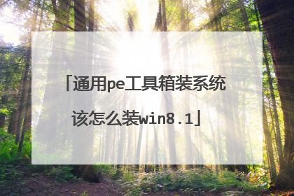 通用pe工具箱装系统该怎么装win8.1