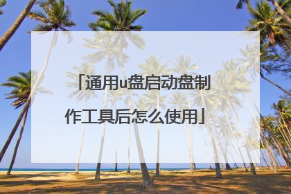通用u盘启动盘制作工具后怎么使用