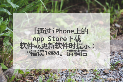 通过iPhone上的App Store下载软件或更新软件时提示:“错误1004。请稍后再试”怎么处理?