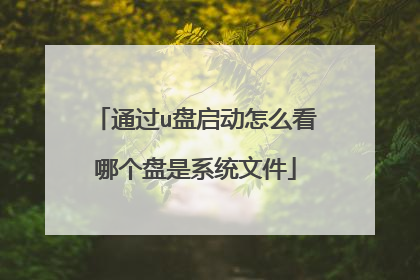 通过u盘启动怎么看哪个盘是系统文件