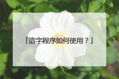 造字程序如何使用?