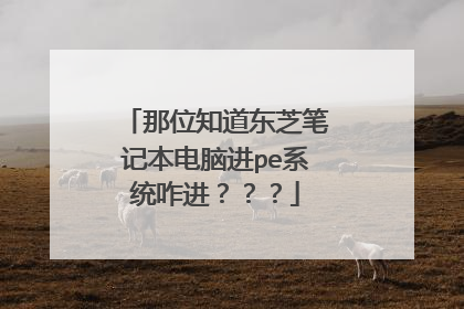 那位知道东芝笔记本电脑进pe系统咋进???