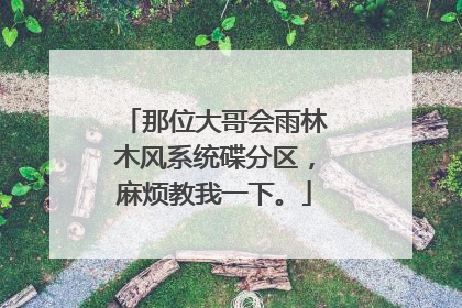 那位大哥会雨林木风系统碟分区,麻烦教我一下。