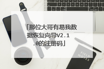 那位大哥有易我数据恢复向导V2.1.0的注册码
