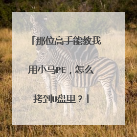 那位高手能教我用小马PE，怎么拷到U盘里？