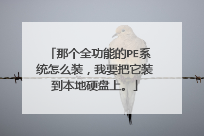 那个全功能的PE系统怎么装,我要把它装到本地硬盘上。