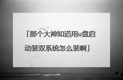 那个大神知道用u盘启动装双系统怎么装啊