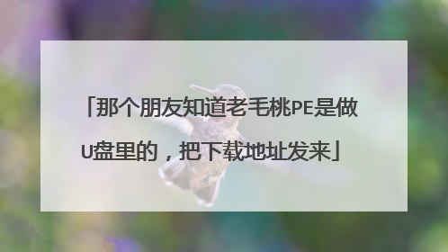 那个朋友知道老毛桃PE是做U盘里的,把下载地址发来