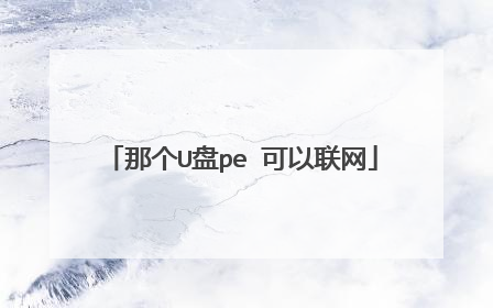 那个U盘pe 可以联网