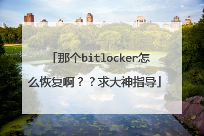 那个bitlocker怎么恢复啊??求大神指导