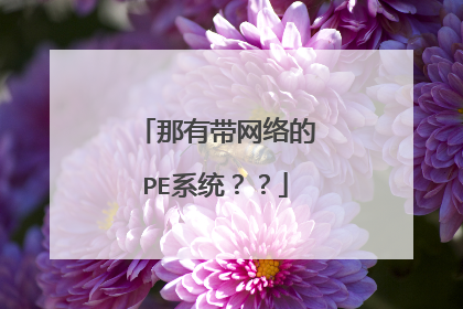那有带网络的PE系统??