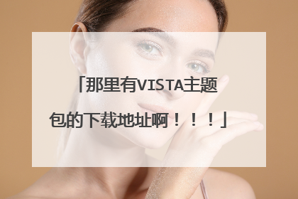 那里有VISTA主题包的下载地址啊！！！