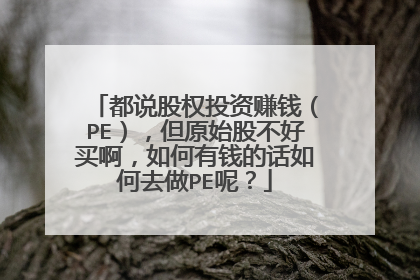 都说股权投资赚钱(PE),但原始股不好买啊,如何有钱的话如何去做PE呢?