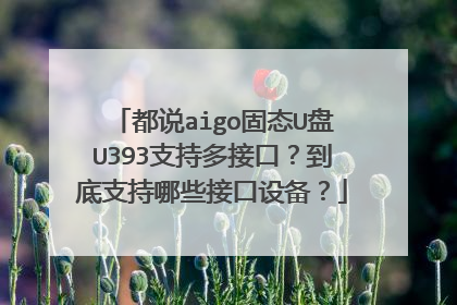 都说aigo固态U盘U393支持多接口?到底支持哪些接口设备?