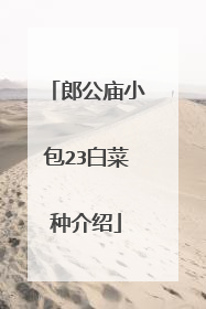 郎公庙小包23白菜种介绍