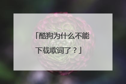 酷狗为什么不能下载歌词了?
