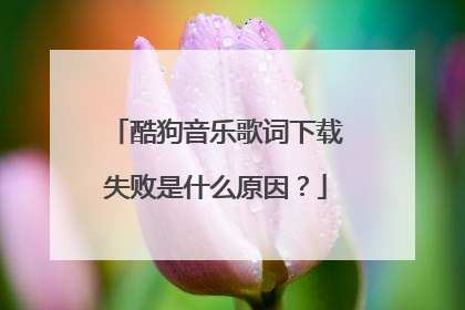 酷狗音乐歌词下载失败是什么原因?