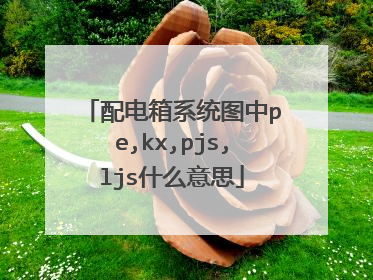 配电箱系统图中pe,kx,pjs,ljs什么意思