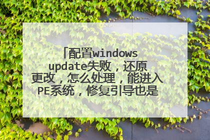 配置windows update失败，还原更改，怎么处理，能进入PE系统，修复引导也是这样，是不是