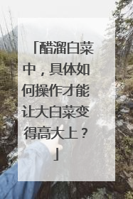 醋溜白菜中,具体如何操作才能让大白菜变得高大上?