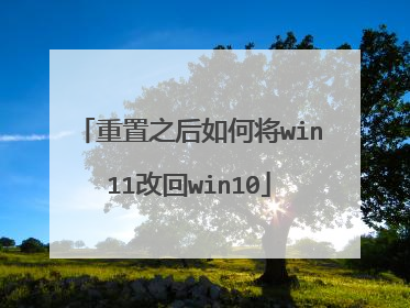 重置之后如何将win11改回win10