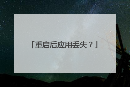 重启后应用丢失?