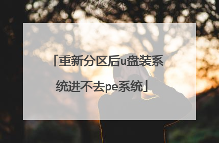 重新分区后u盘装系统进不去pe系统