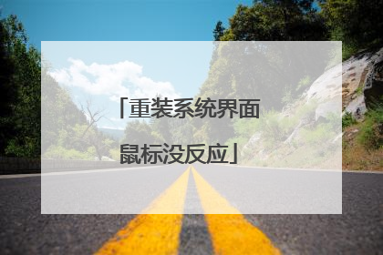 重装系统界面鼠标没反应