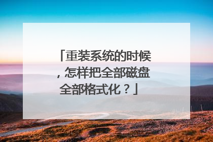 重装系统的时候，怎样把全部磁盘全部格式化？