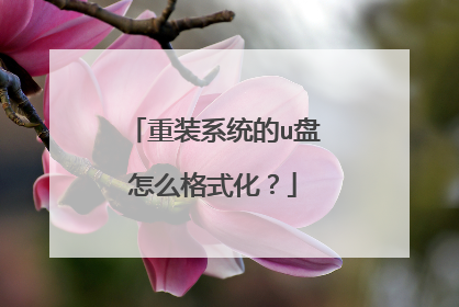 重装系统的u盘怎么格式化?