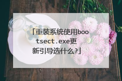 重装系统使用bootsect.exe更新引导选什么?